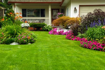 How Professional Lawn Care Makes It So Much Easier To Maintain A Vibrant Lawn Thumbnail