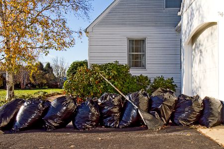 Yard Cleanups Thumbnail