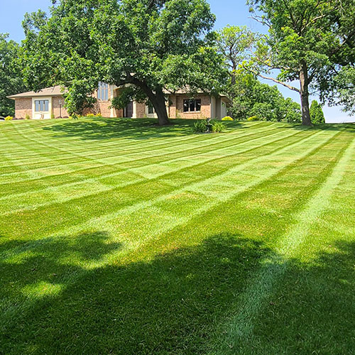 Keep Your Lawn Healthy Image